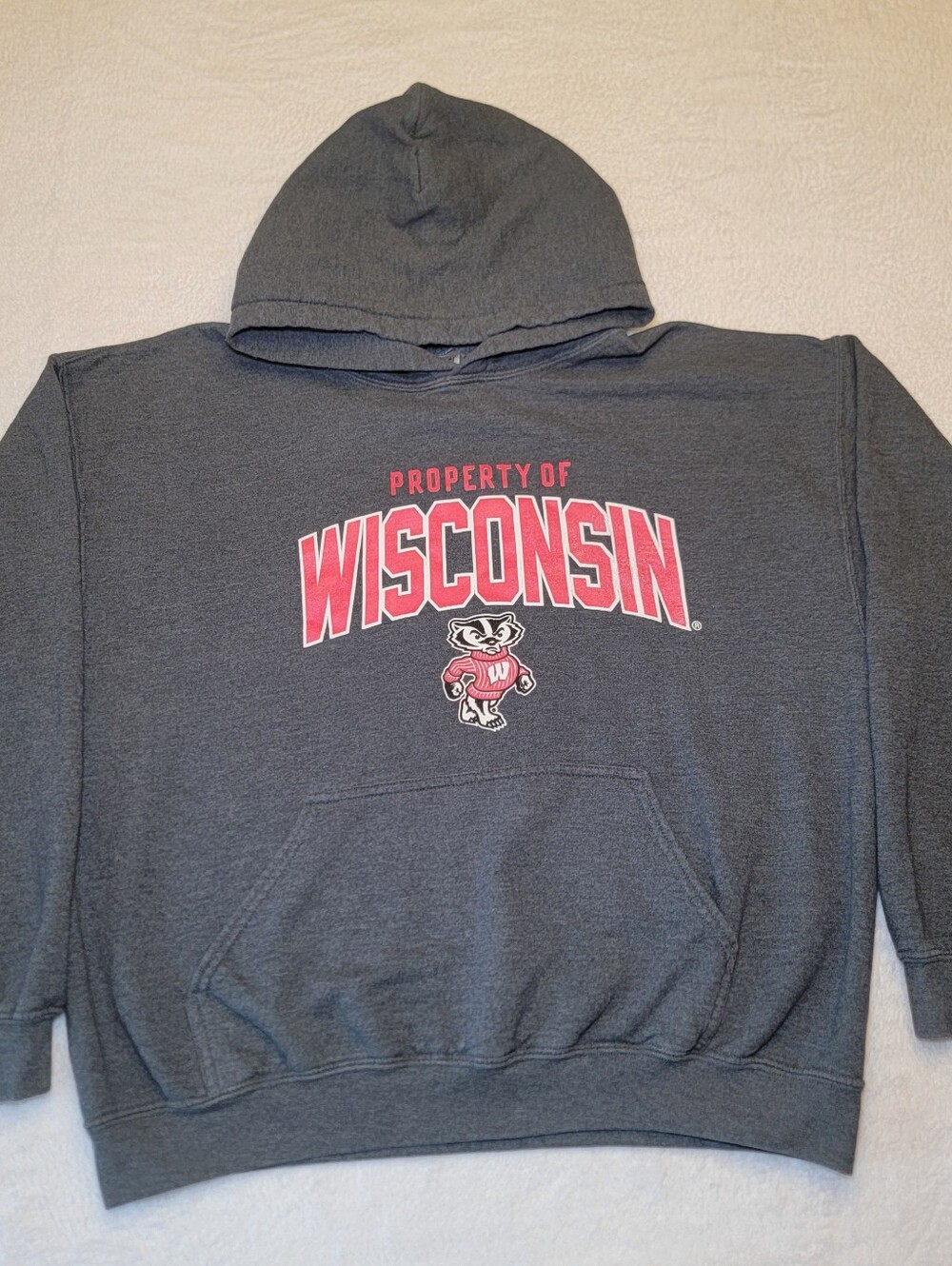 Wisconsin Badgers Hoodie Gray Mens L Gildan Heavy Blend Bucky Badger GUC